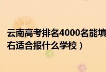 云南高考排名4000名能填报的学校（云南高考位次90000左右适合报什么学校）