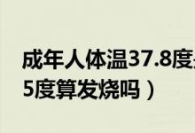 成年人体温37.8度是发烧吗（成年人体温37.5度算发烧吗）