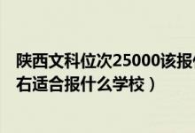 陕西文科位次25000该报什么学校（陕西高考位次20000左右适合报什么学校）