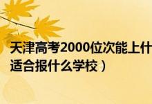 天津高考2000位次能上什么大学（天津高考位次37000左右适合报什么学校）