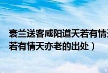 衰兰送客咸阳道天若有情天亦老的意思（衰兰送客咸阳道天若有情天亦老的出处）