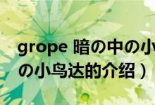 grope 暗の中の小鸟达（关于grope 暗の中の小鸟达的介绍）