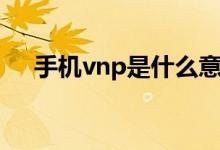 手机vnp是什么意思（手机vnp是什么）