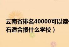 云南省排名40000可以读什么大学（云南高考位次50000左右适合报什么学校）