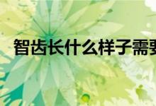 智齿长什么样子需要拔（智齿长什么样子）