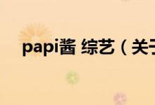 papi酱 综艺（关于papi酱 综艺的介绍）