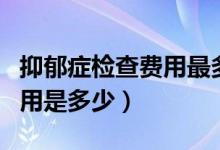 抑郁症检查费用最多是多少（抑郁症的检查费用是多少）