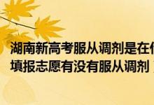 湖南新高考服从调剂是在什么范围内调剂（2022湖南新高考填报志愿有没有服从调剂）