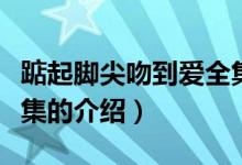 踮起脚尖吻到爱全集（关于踮起脚尖吻到爱全集的介绍）