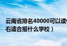 云南省排名40000可以读什么大学（云南高考位次80000左右适合报什么学校）