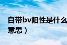 白带bv阳性是什么意思（白带bv阳性是什么意思）