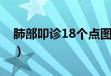 肺部叩诊18个点图（肺部叩诊18个点是哪里）