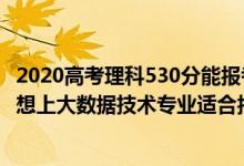 2020高考理科530分能报考哪个大学（2022高考530分左右想上大数据技术专业适合报什么学校）