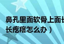 鼻孔里面软骨上面长了一个硬疙瘩（鼻孔里面长疙瘩怎么办）