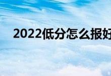 2022低分怎么报好志愿（有什么好方法）