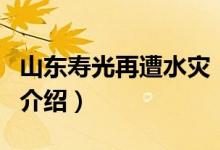 山东寿光再遭水灾（关于山东寿光再遭水灾的介绍）