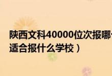 陕西文科40000位次报哪个学校（陕西高考位次60000左右适合报什么学校）