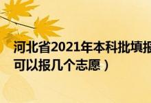 河北省2021年本科批填报志愿时间（2022河北本科提前批可以报几个志愿）