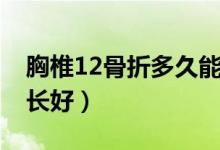 胸椎12骨折多久能开车（胸椎12骨折多久能长好）