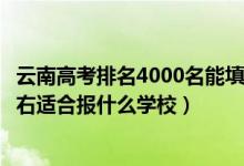 云南高考排名4000名能填报的学校（云南高考位次40000左右适合报什么学校）