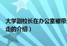 大学副校长在办公室被带走（关于大学副校长在办公室被带走的介绍）