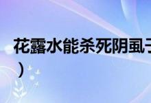 花露水能杀死阴虱子吗（花露水能杀死螨虫吗）