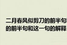 二月春风似剪刀的前半句和这一句的意思（二月春风似剪刀的前半句和这一句的解释）