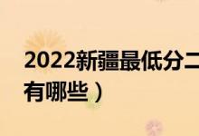 2022新疆最低分二本公办大学（值得推荐的有哪些）