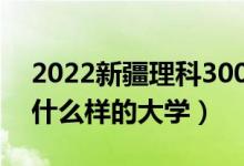 2022新疆理科300多分的公办大学（可以上什么样的大学）