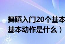 舞蹈入门20个基本动作下叉（舞蹈入门20个基本动作是什么）