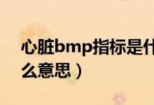 心脏bmp指标是什么?（心脏指标bmp是什么意思）