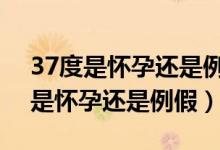 37度是怀孕还是例假还有4天来月经（37度是怀孕还是例假）