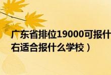 广东省排位19000可报什么大学（广东高考位次190000左右适合报什么学校）