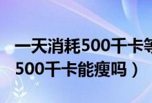 一天消耗500千卡等于多少卡路里（一天消耗500千卡能瘦吗）