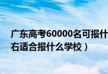 广东高考60000名可报什么学校（广东高考位次130000左右适合报什么学校）