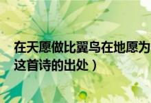 在天愿做比翼鸟在地愿为连理枝一诗写的是哪个爱情故事（这首诗的出处）