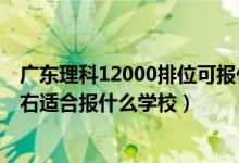 广东理科12000排位可报什么学校（广东高考位次70000左右适合报什么学校）