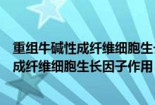 重组牛碱性成纤维细胞生长因子滴眼液说明书（重组牛碱性成纤维细胞生长因子作用）