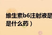 维生素b6注射液是处方药（维生素b6注射液是什么药）