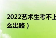 2022艺术生考不上本科能上大专吗（还有什么出路）