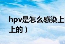 hpv是怎么感染上的男性（HPV是怎么感染上的）