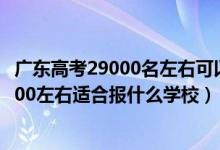 广东高考29000名左右可以报什么学校（广东高考位次160000左右适合报什么学校）