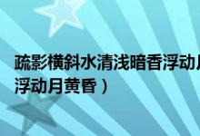 疏影横斜水清浅暗香浮动月黄昏作者（疏影横斜水清浅 暗香浮动月黄昏）