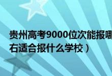 贵州高考9000位次能报哪些学校（贵州高考位次100000左右适合报什么学校）