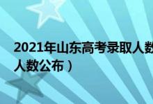 2021年山东高考录取人数及录取率（2021年山东高考录取人数公布）