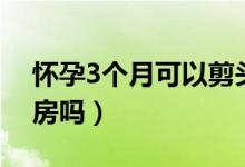 怀孕3个月可以剪头发吗（怀孕3个月可以同房吗）