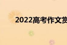 2022高考作文赏析（作文必备技巧）