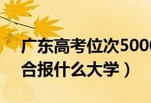 广东高考位次50000左右推荐什么学校（适合报什么大学）