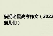 猫捉老鼠高考作文（2022高考经典零分作文：吃鱼与捕鼠的猫儿们）