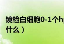 镜检白细胞0-1个hp什么意思（镜检白细胞是什么）